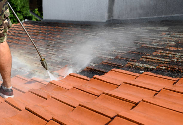 Local Pressure Washing Services in Mundelein, IL